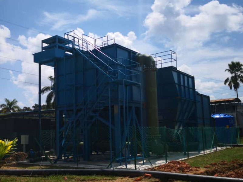 Temadak Plant